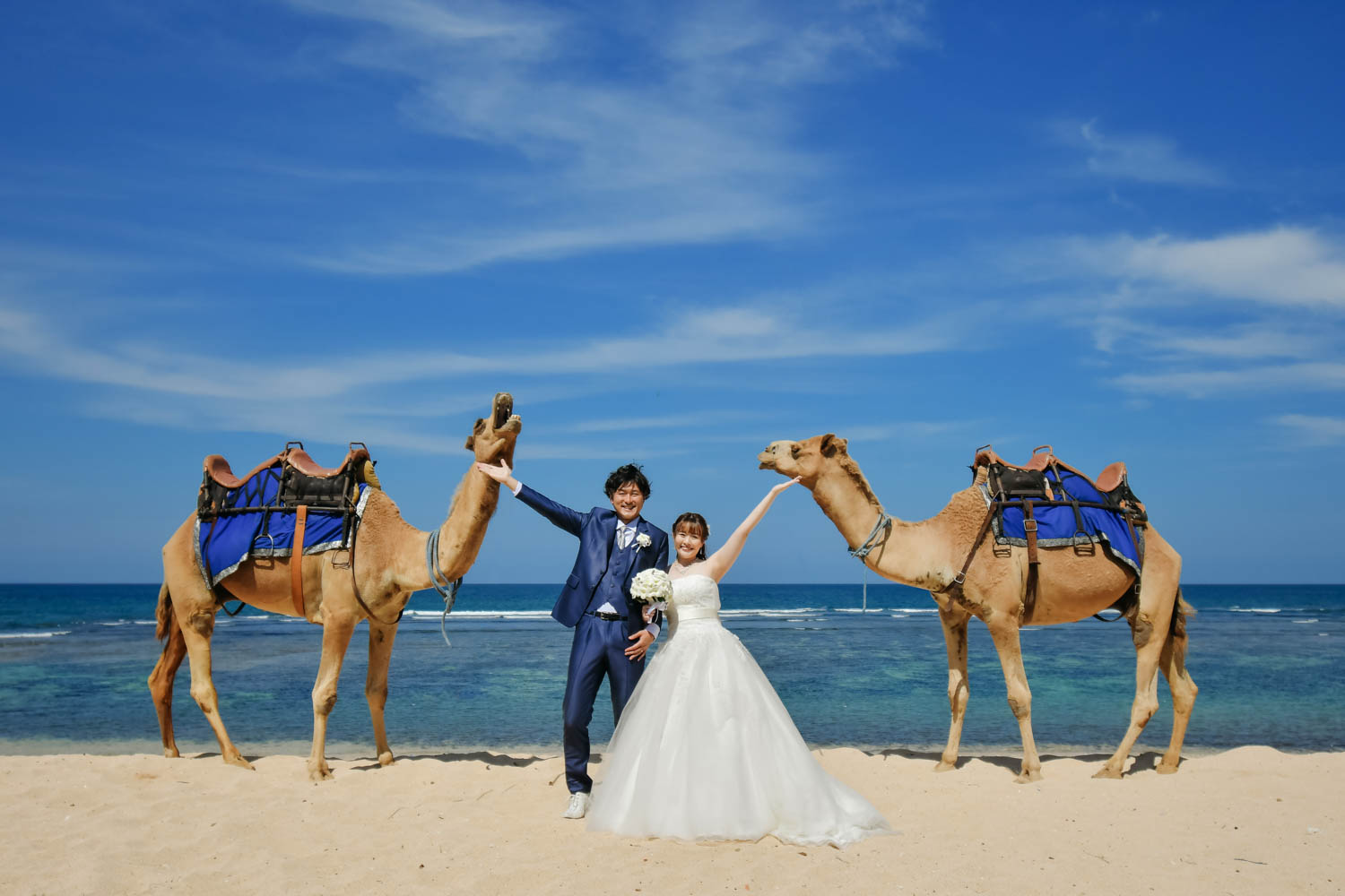 ラクダの前でポーズをとるお二人