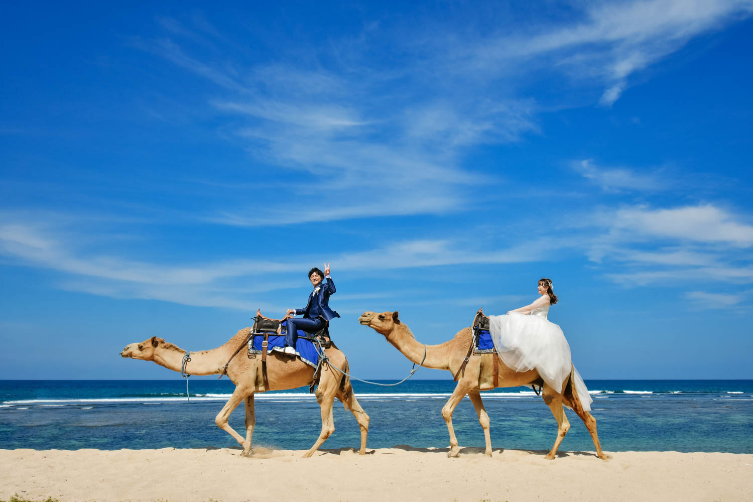 二頭のラクダに乗って砂浜を歩く