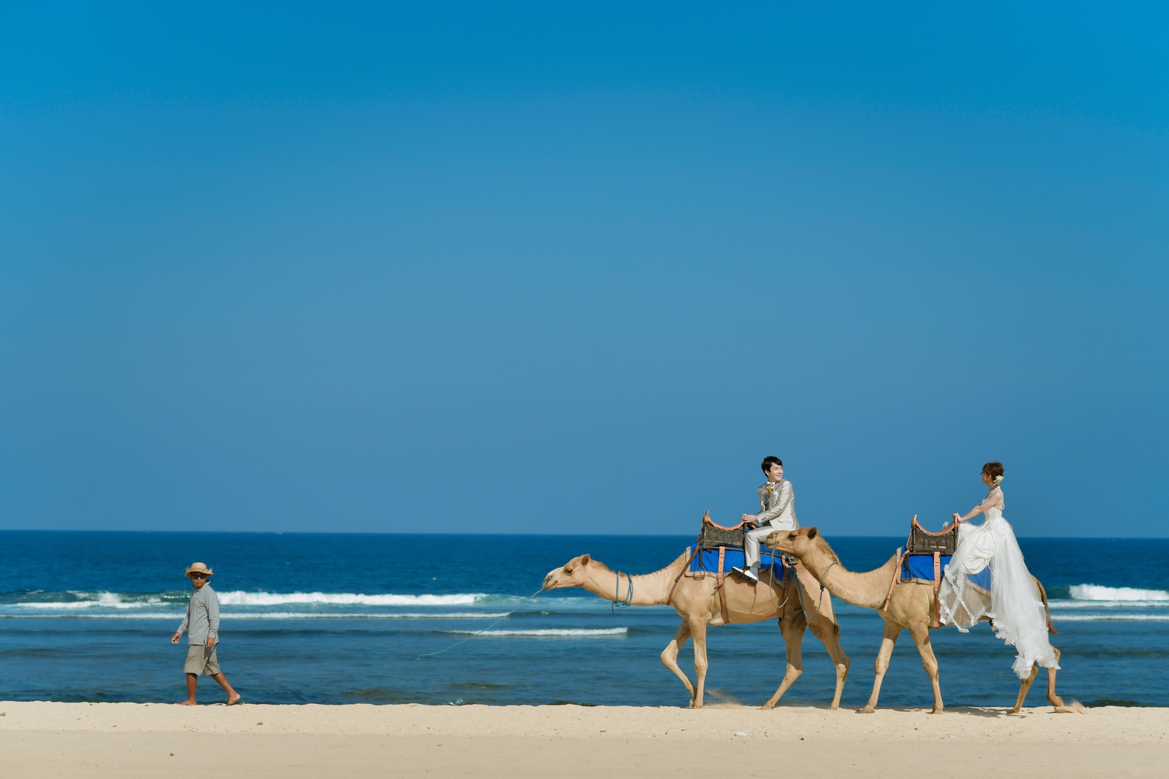 キャメルサファリ